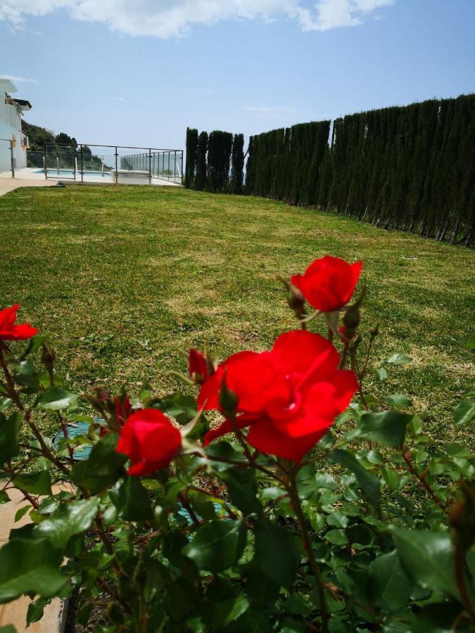 Apartament Dana I Eurogolf, Vistas, Wifi, Piscina Y Parking Benalmádena Zewnętrze zdjęcie